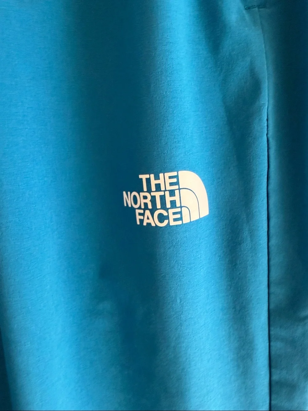 The North Face Wander Pants size S